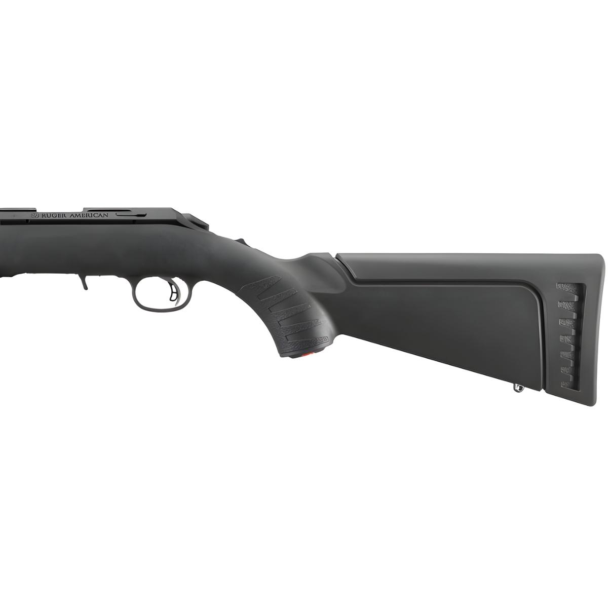 ruger american rimfire standard 22 8301