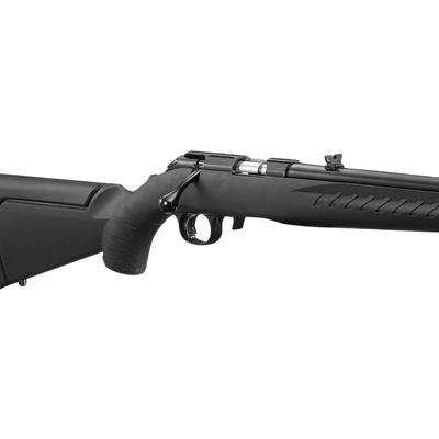 ruger american rimfire standard 22 8301