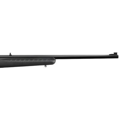 ruger american rimfire standard 22 8301