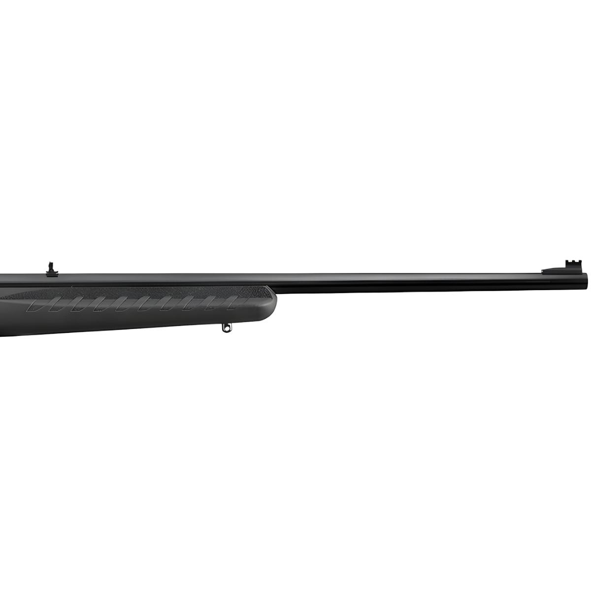 ruger american rimfire standard 22 8301