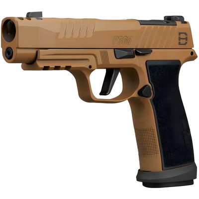 sig sauer p365 axg dh3