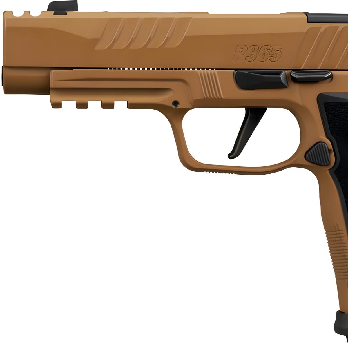 sig sauer p365 axg dh3