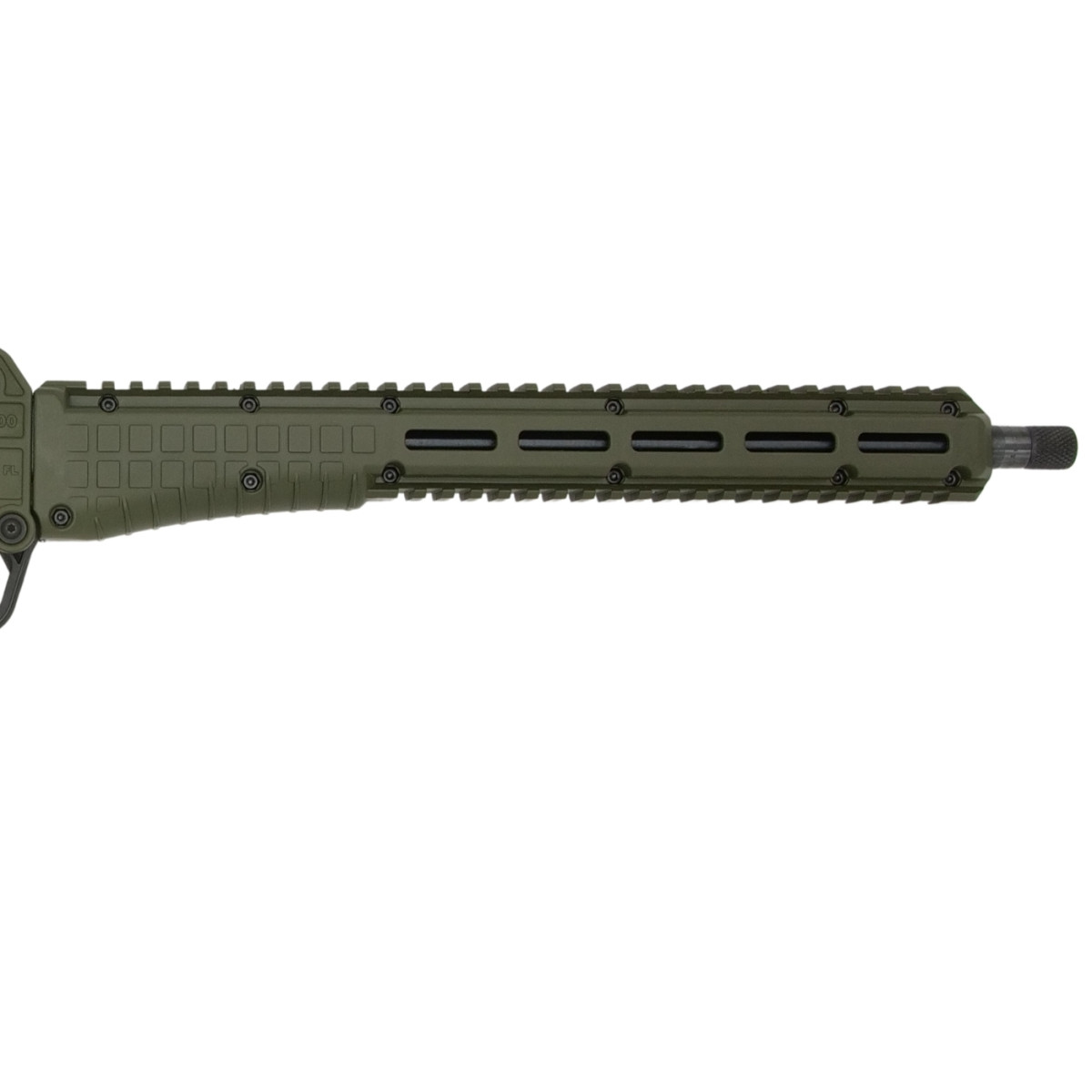 Miniatura 10