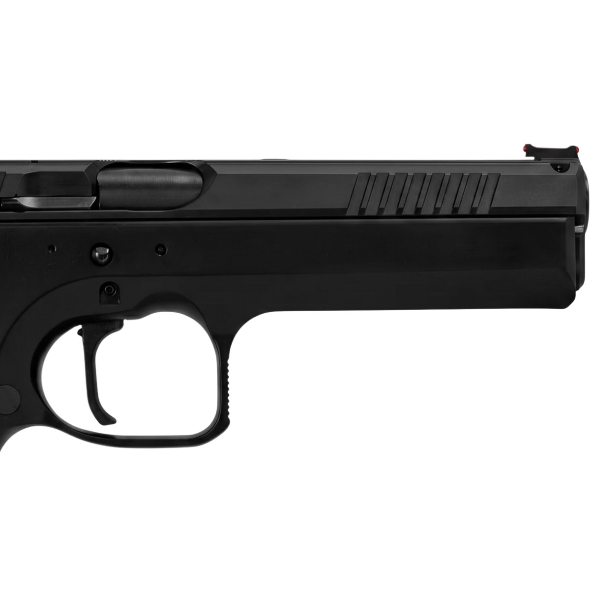 Miniatura 11