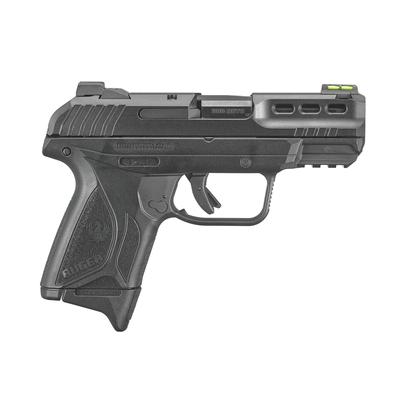 Ruger Security-380 (3839)